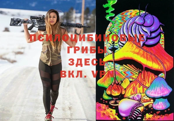 spice Чердынь